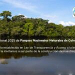 banner-plan-accion-institucional-2025 (1)