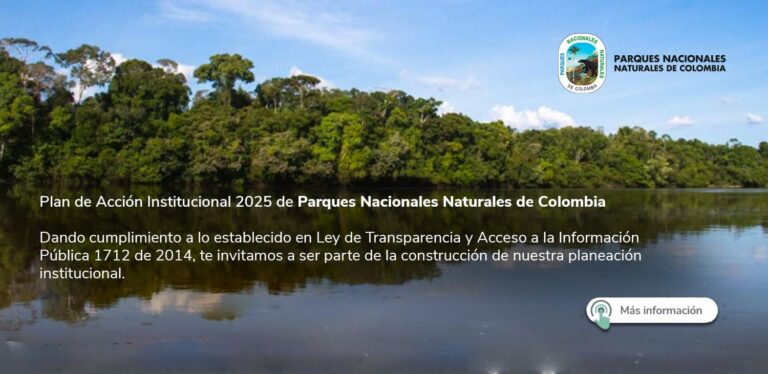 banner-plan-accion-institucional-2025 (1)