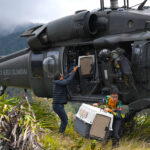 uh60 (1)