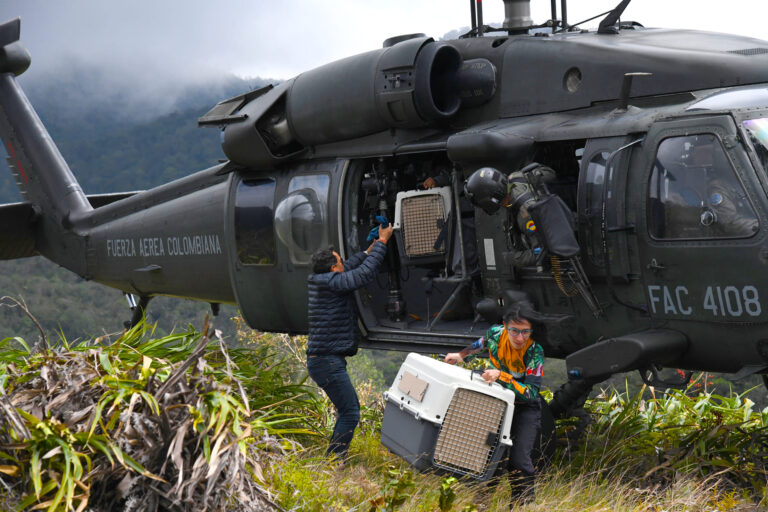 uh60 (1)