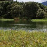 Humedales_slider (1)