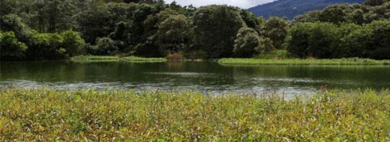 Humedales_slider (1)