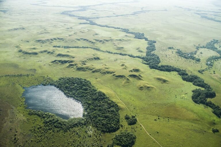 manacacias-sobrevuelo-dic-2016-12-14-fotografia-rodrigo-duran-bahamon-0004 (1)