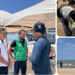 En misión humanitaria Akalii’ja, el Bienestar Familiar sigue llevando ayuda a las familias de la Alta Guajira