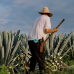 Alertas regulatorias, alianza de AmCham Colombia con el apoyo de Orza, relacionamiento estratégico