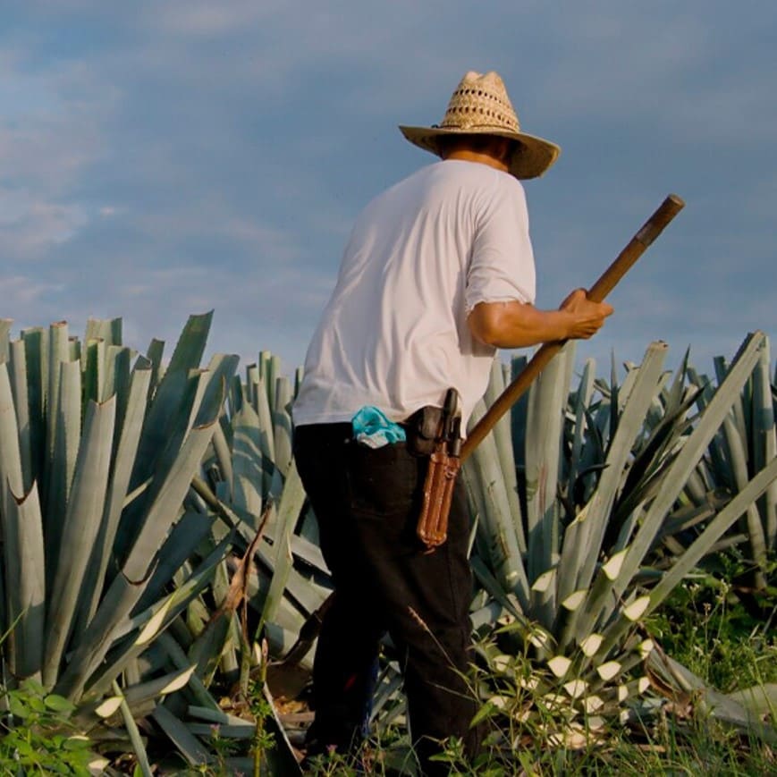 Alertas regulatorias, alianza de AmCham Colombia con el apoyo de Orza, relacionamiento estratégico