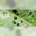 Biofilia’: exposición itinerante promueve biodiversidad en Colombia