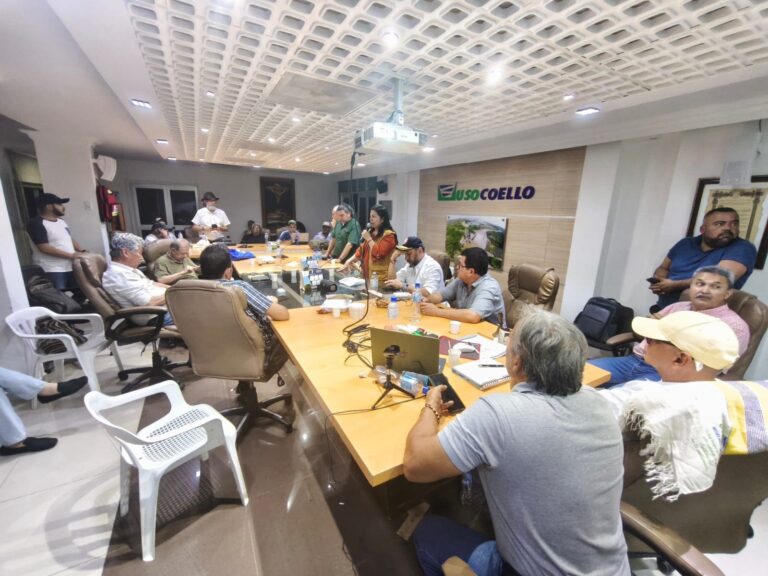 Estas son las propuestas del Gobierno del Cambio para el sector arrocero