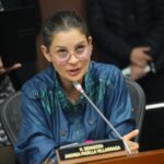 Senado promete estrategias para proteger fauna en las carreteras