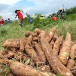 Procuraduría revisa cambios en áreas agrícolas protegidas de La Guajira