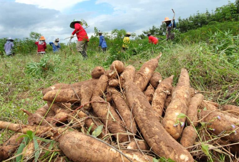 Procuraduría revisa cambios en áreas agrícolas protegidas de La Guajira