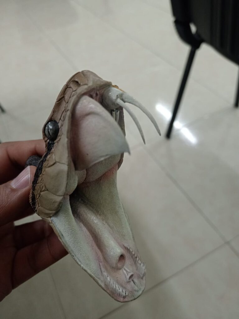 INS impulsa prevención y atención efectiva contra animales ponzoñosos en La Guajira