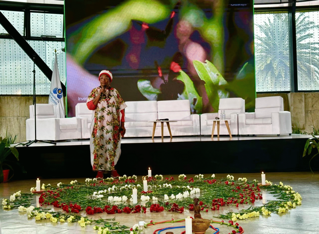 Paz verdadera exige sanar territorios y ecosistemas afectados
