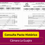 Consulta pacto Cámara