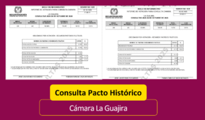Consulta pacto Cámara