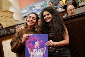 MinCultura nueva ley cámara