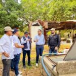 Genaro en línea de conducción