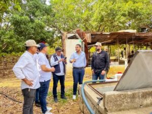 Genaro en línea de conducción