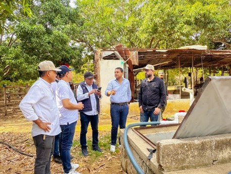 Genaro en línea de conducción